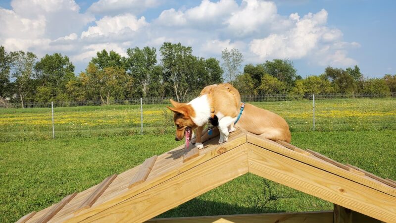 Watertown Dog Park - Watertown, WI