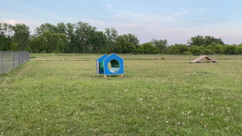 Watertown Dog Park - Watertown, WI