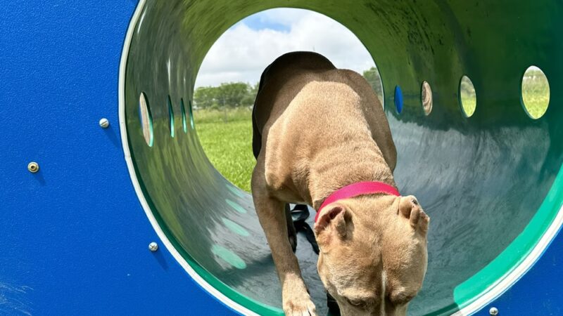 Watertown Dog Park - Watertown, WI