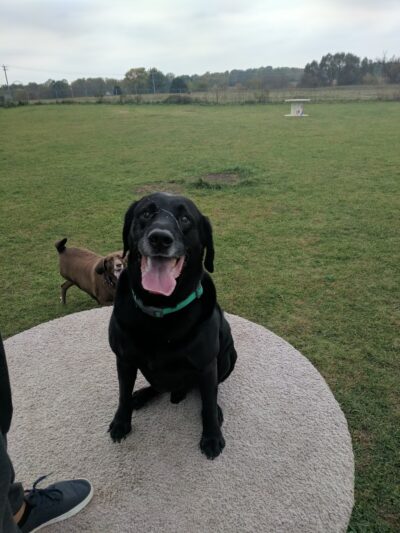 Watertown Dog Park - Watertown, WI