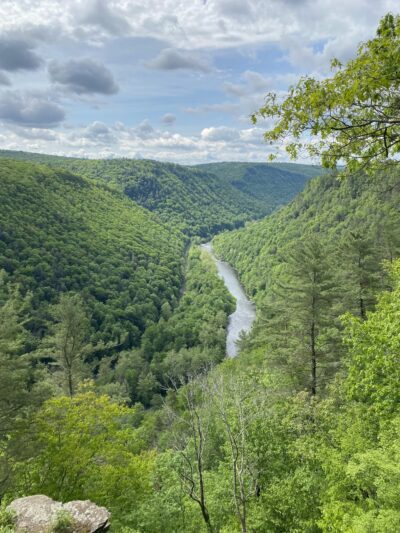 Pine Creek Gorge - Watson Township, PA