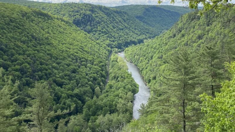 Pine Creek Gorge - Watson Township, PA