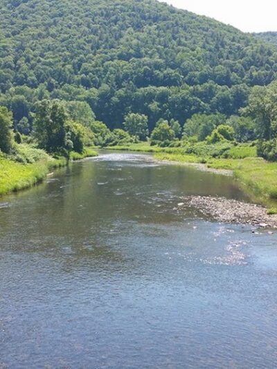 Pine Creek Gorge - Watson Township, PA