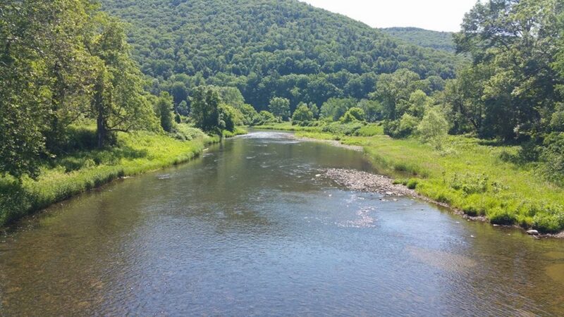 Pine Creek Gorge - Watson Township, PA
