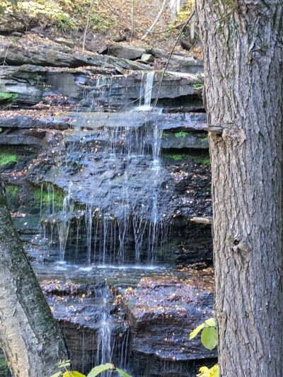 Pine Creek Gorge - Watson Township, PA