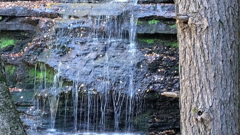 Pine Creek Gorge - Watson Township, PA