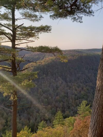 Pine Creek Gorge - Watson Township, PA