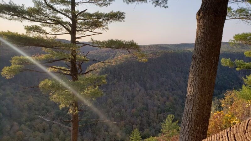 Pine Creek Gorge - Watson Township, PA