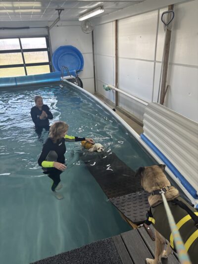 Soggie Doggie LLC - Watsontown, PA