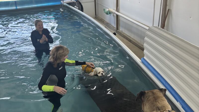 Soggie Doggie LLC - Watsontown, PA