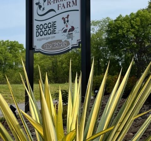 Soggie Doggie LLC - Watsontown, PA
