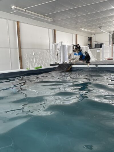 Soggie Doggie LLC - Watsontown, PA