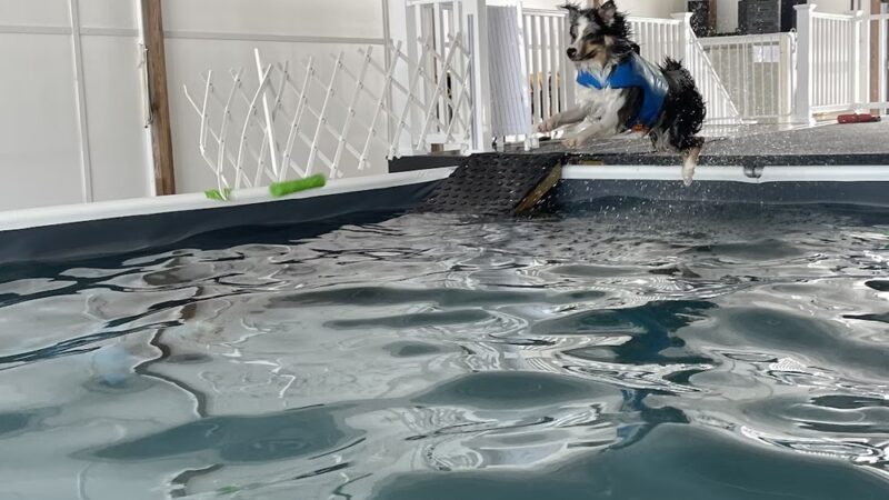 Soggie Doggie LLC - Watsontown, PA