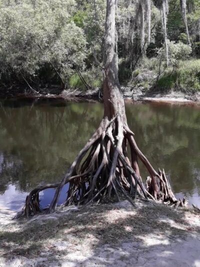 Wauchula Riverside - Crews Park - Wauchula, FL