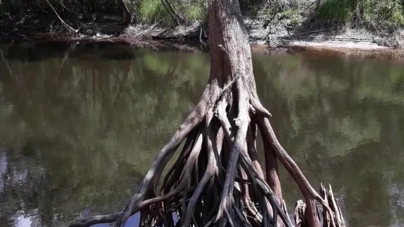 Wauchula Riverside - Crews Park - Wauchula, FL