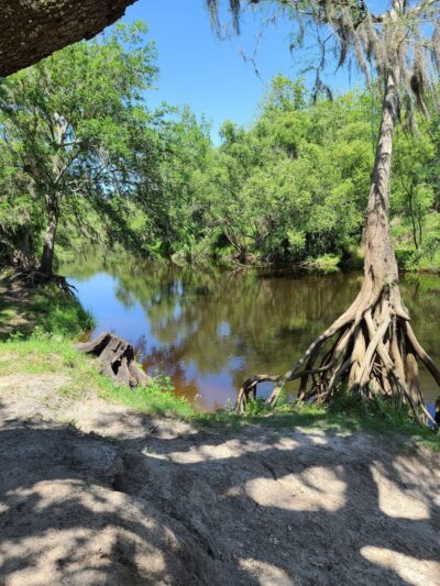 Wauchula Riverside - Crews Park - Wauchula, FL