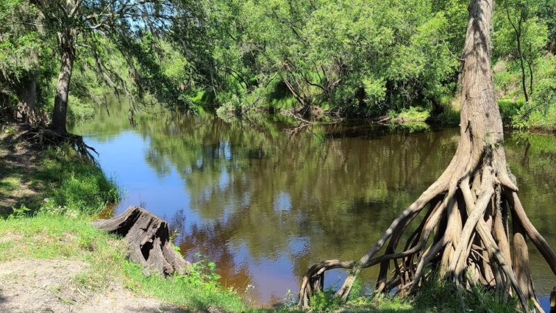 Wauchula Riverside - Crews Park - Wauchula, FL