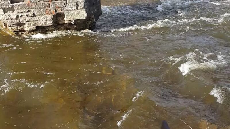 Jacobus Park - Wauwatosa, WI