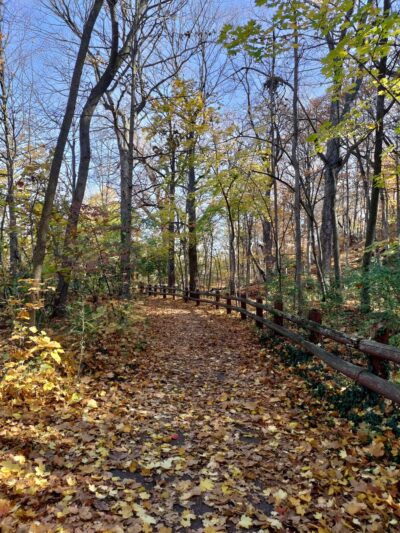 Jacobus Park - Wauwatosa, WI