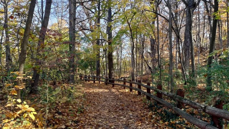 Jacobus Park - Wauwatosa, WI