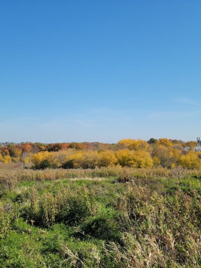 County Grounds Park - Wauwatosa, WI