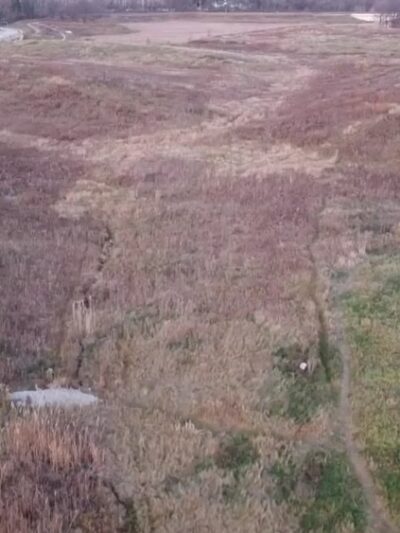 County Grounds Park - Wauwatosa, WI