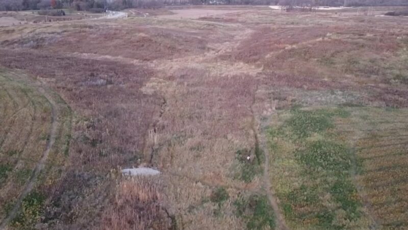 County Grounds Park - Wauwatosa, WI