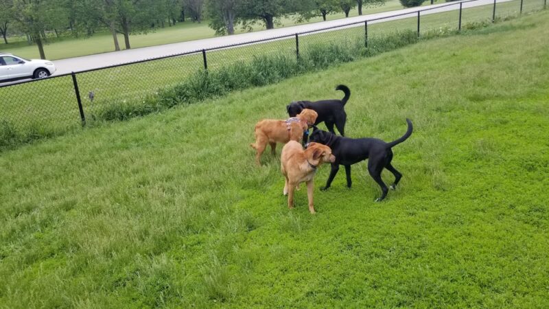 Currie Park - Wauwatosa, WI