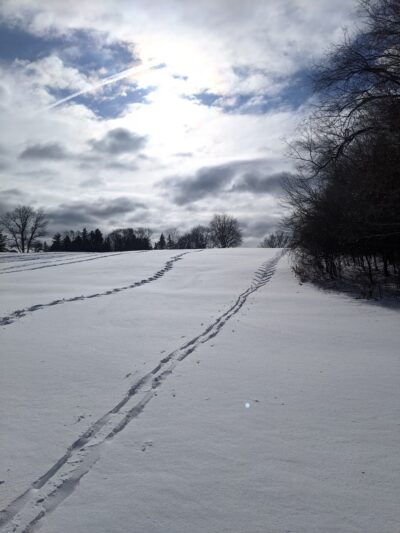Currie Park - Wauwatosa, WI