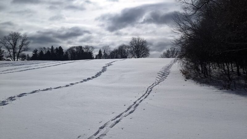Currie Park - Wauwatosa, WI