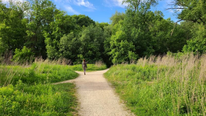 Hoyt Park - Wauwatosa, WI