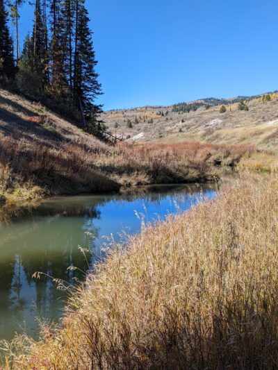 Pine Bar Campground - Wayan, ID