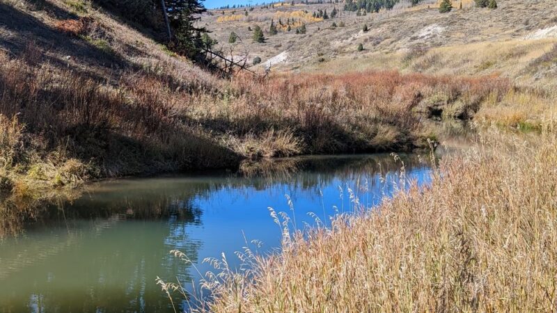 Pine Bar Campground - Wayan, ID