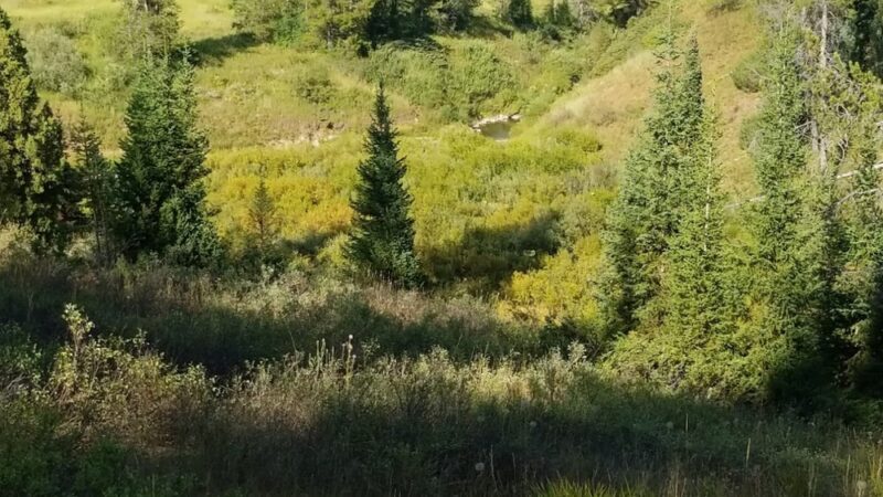 Pine Bar Campground - Wayan, ID