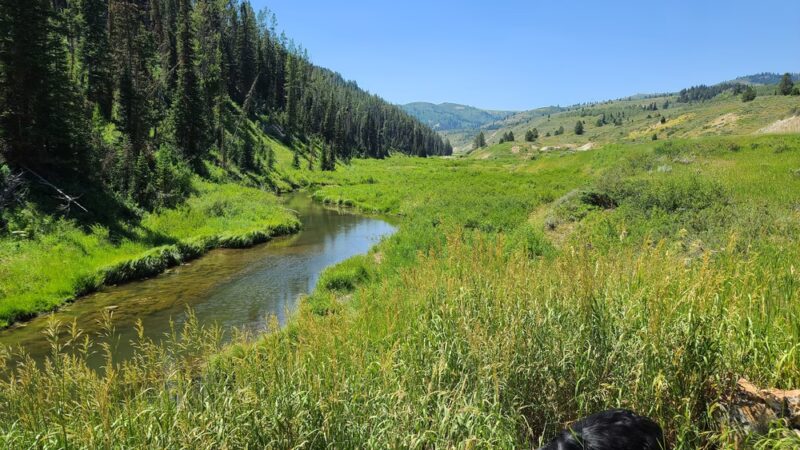 Pine Bar Campground - Wayan, ID
