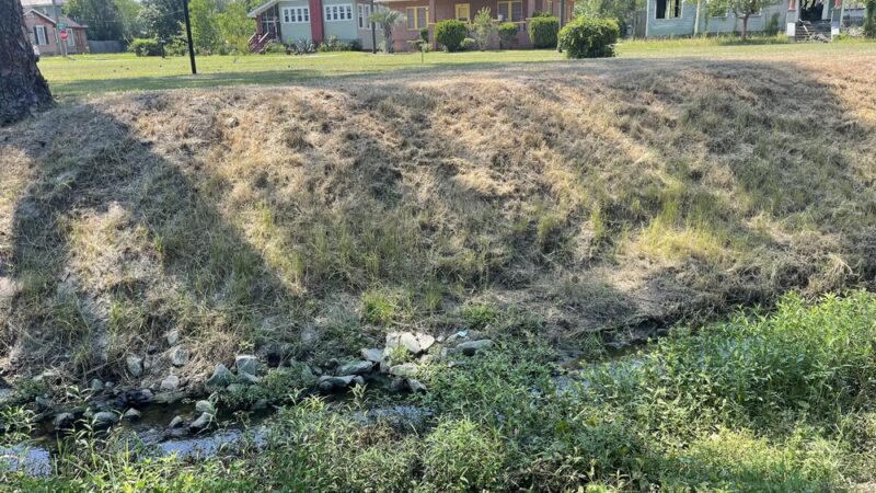 Mary Street Park - Waycross, GA