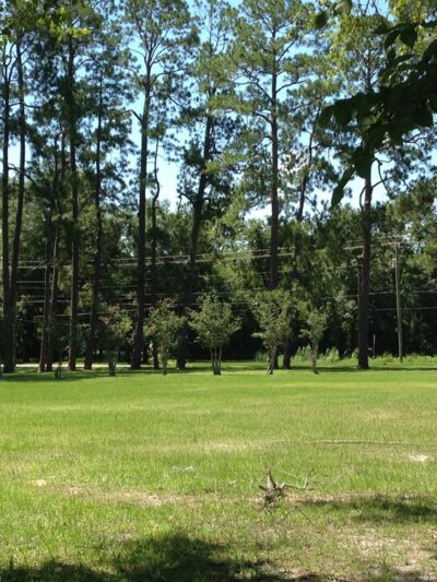 Pernell Roberts Memorial Park - Waycross, GA