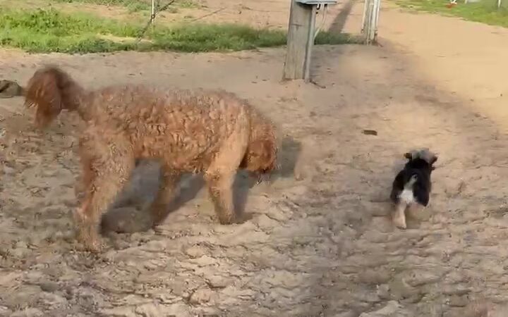 Lexie's Bed and Biscuits - Waycross, GA