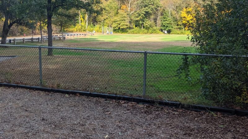 Alpine Field - Wayland, MA