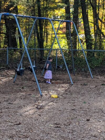 Alpine Field - Wayland, MA