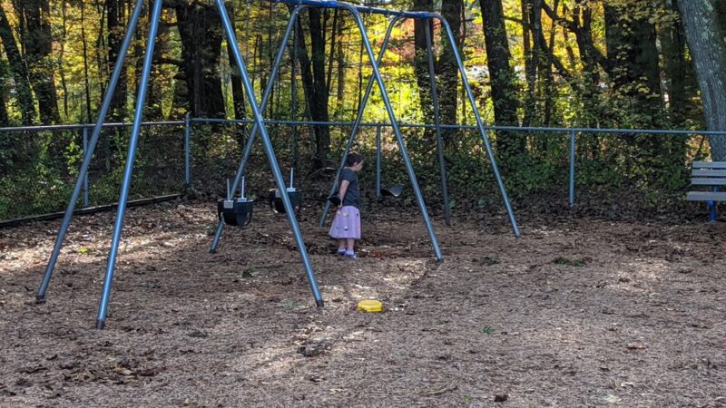 Alpine Field - Wayland, MA