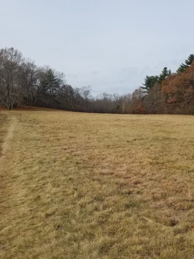 Greenways Conservation Land - Wayland, MA