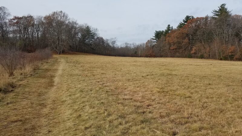 Greenways Conservation Land - Wayland, MA