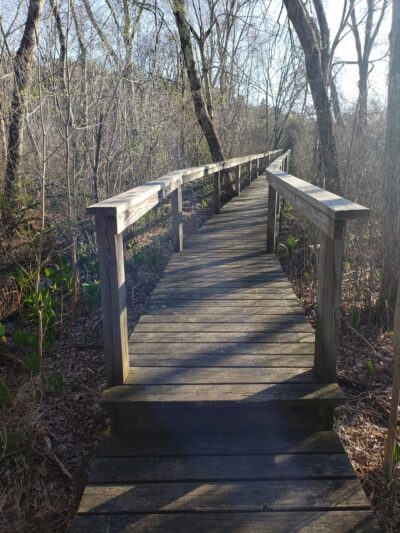 Greenways Conservation Land - Wayland, MA