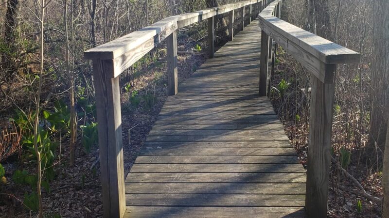 Greenways Conservation Land - Wayland, MA