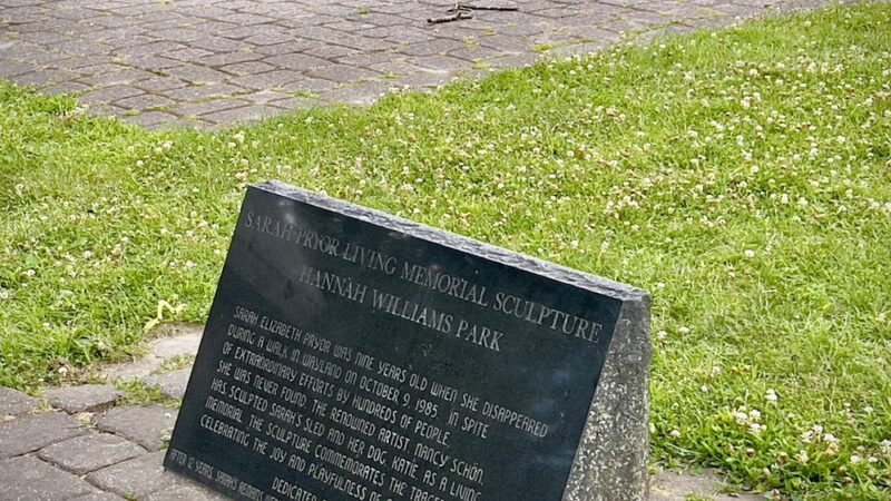 Hannah Williams Playground - Wayland, MA