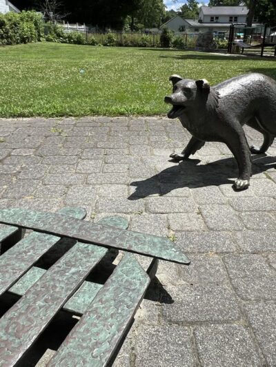 Hannah Williams Playground - Wayland, MA