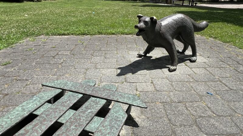 Hannah Williams Playground - Wayland, MA
