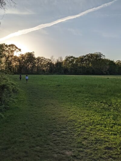 Heard Farm Wayland MA - Wayland, MA