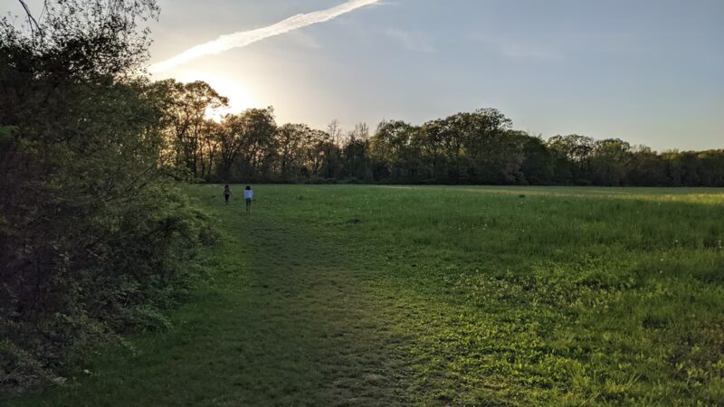 Heard Farm Wayland MA - Wayland, MA
